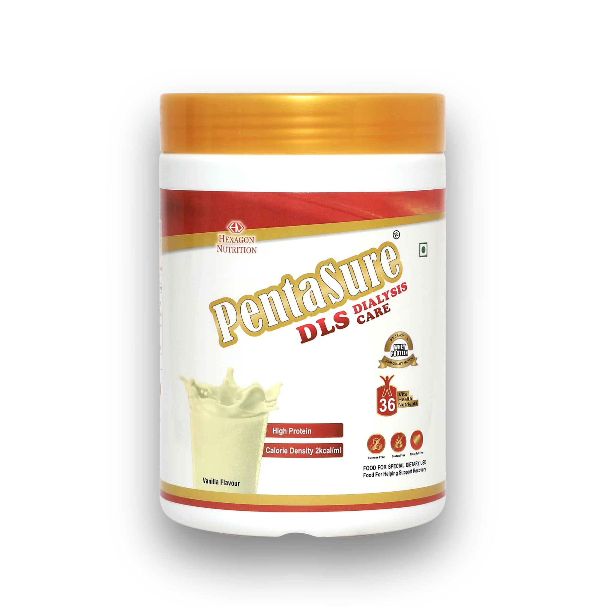 Pentasure DLS - Dialysis Care Nutrition Supplement 400 gm