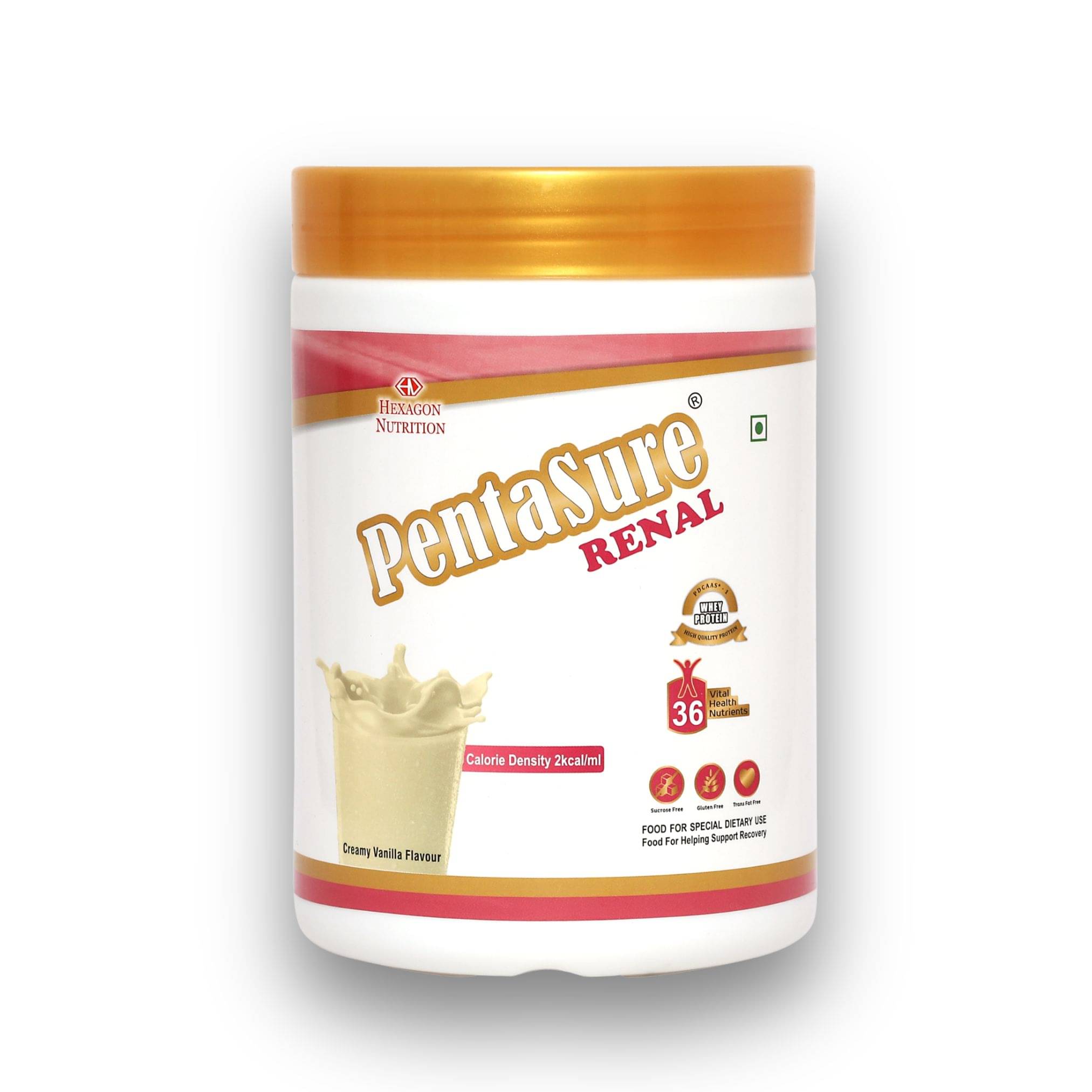     			Pentasure RENAL - Complete Diet For Kidney Patients 400 gm