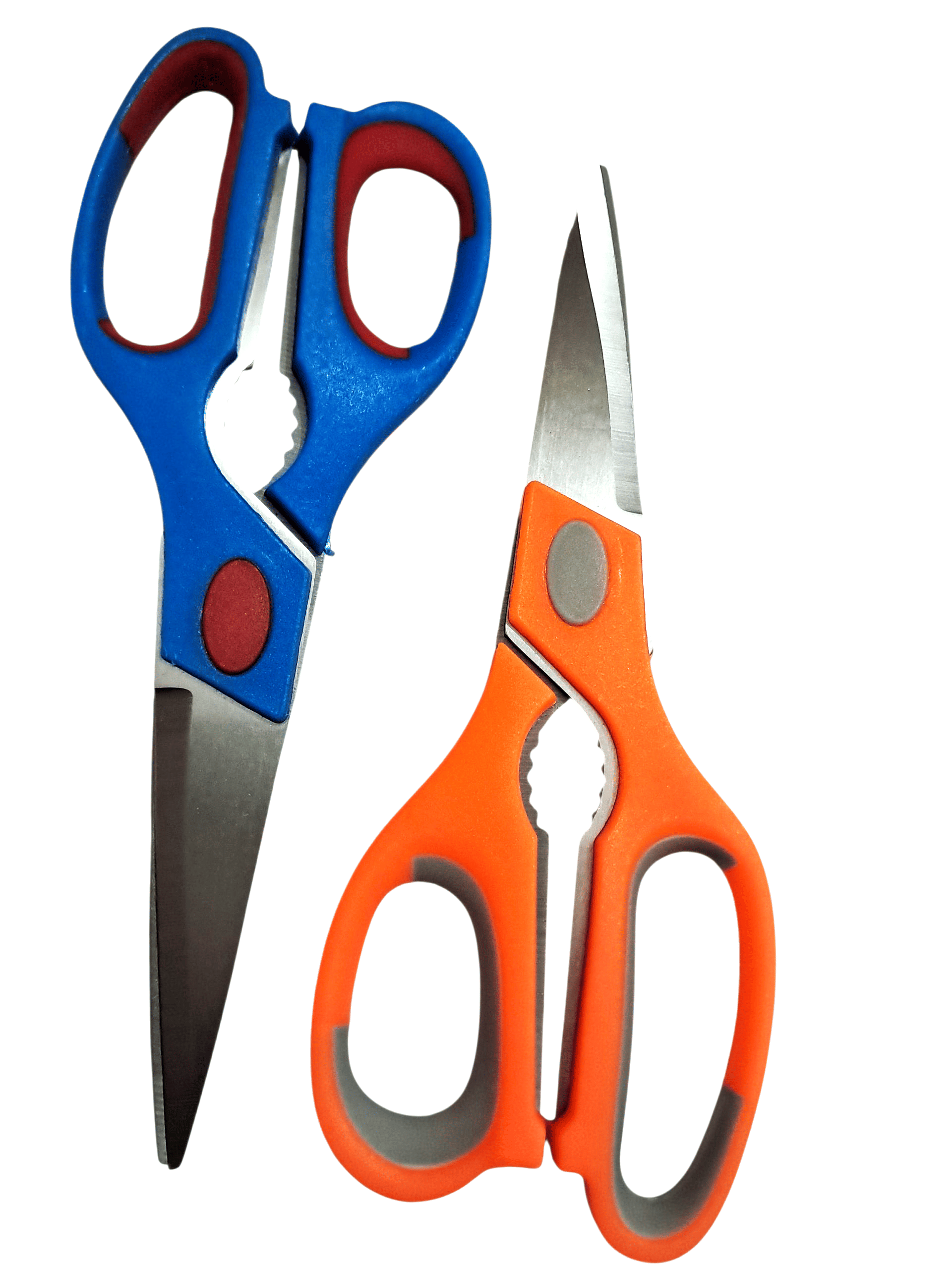 Cailyn Stainless Steel Multipurpose Scissors ( Pack of 1 )