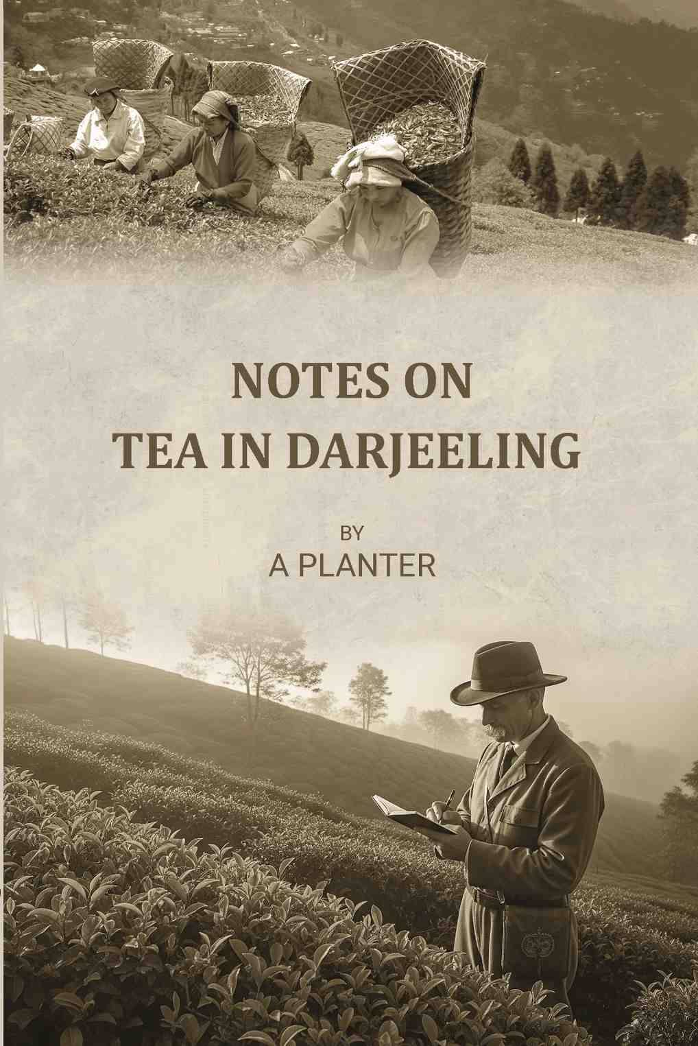     			Notes on tea in Darjeeling {in Undetermined}