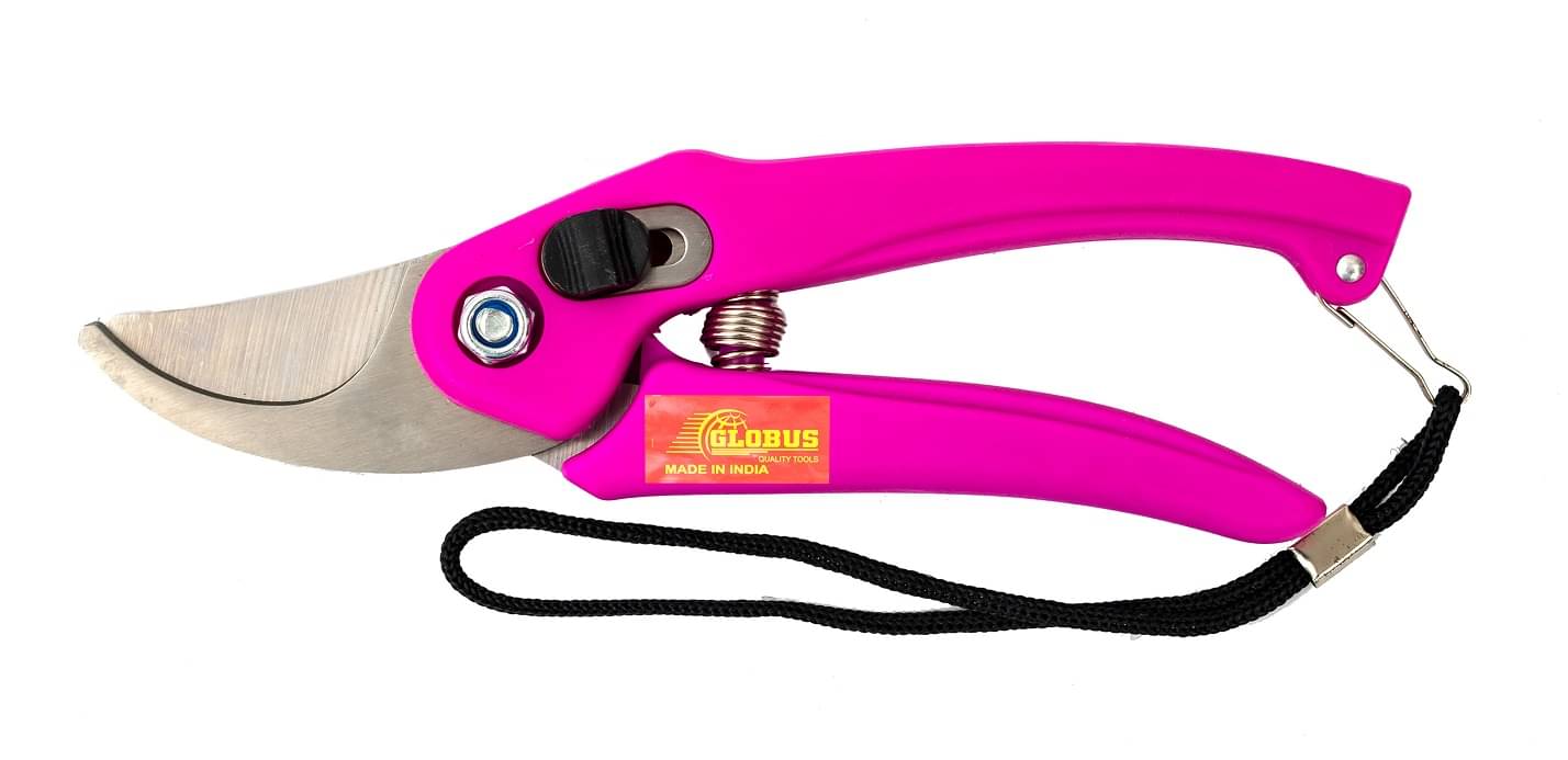     			Globus 1651-GARDEN TOOL-GARDEN CUTTER/PRUNER/SECATEUR ( STAINLESS 7 INCH/18 CM )