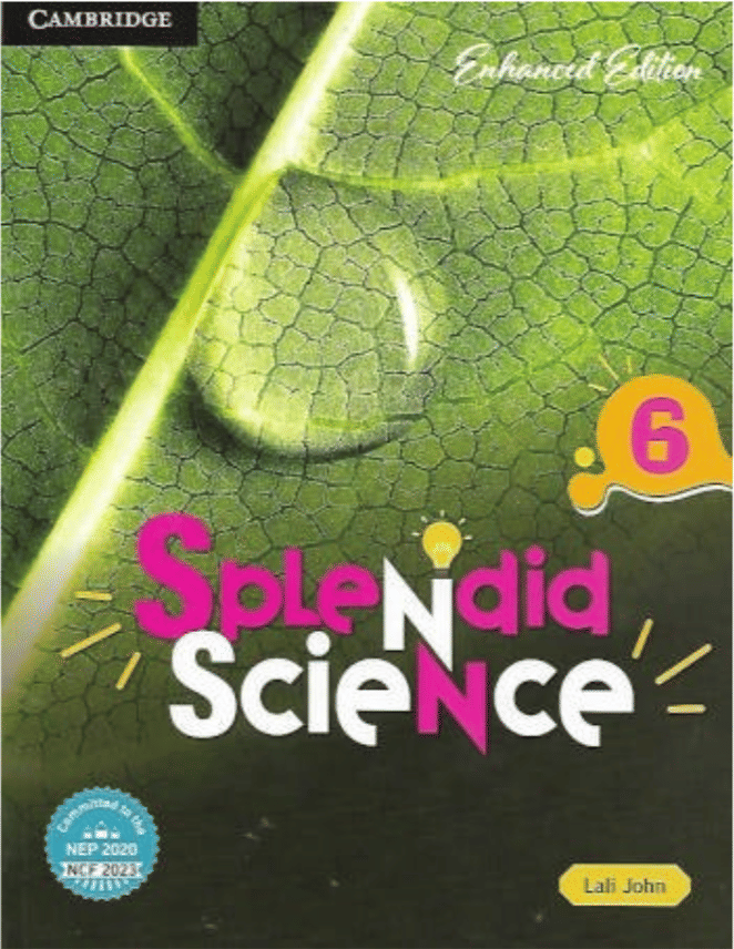     			SPLENDID SCIENCE CLASS 6