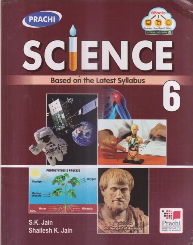 SCIENCE CLASS 6 ( BASED ON THE LATEST SYLLABUS ) SCIENCE CLASS 6 ( BASED ON THE LATEST SYLLABUS )