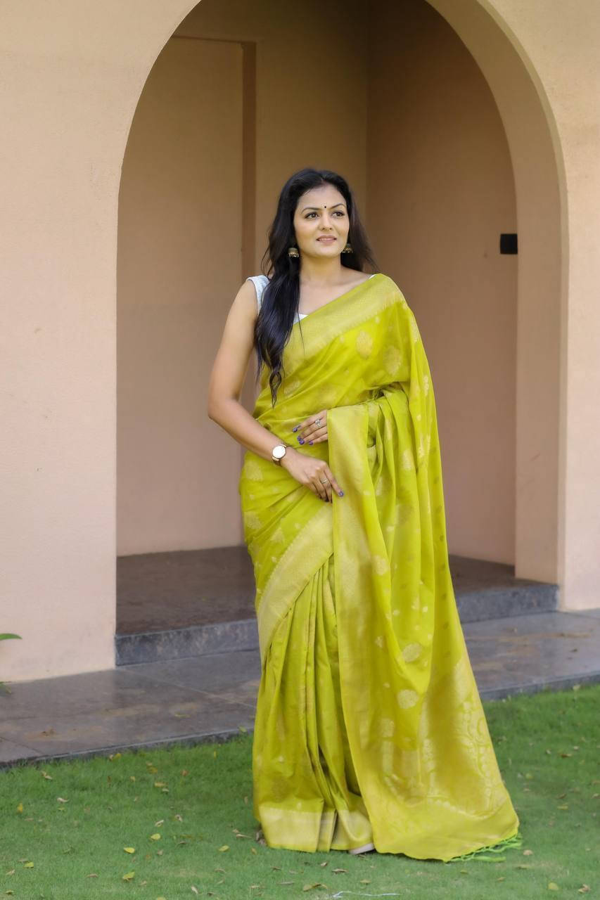 Bansari Textile Silk Blend Woven Banarasi saree With Unstitched Blouse Piece ( Light Green ) Bansari Textile Silk Blend Woven Banarasi saree With Unstitched Blouse Piece ( Light Green )