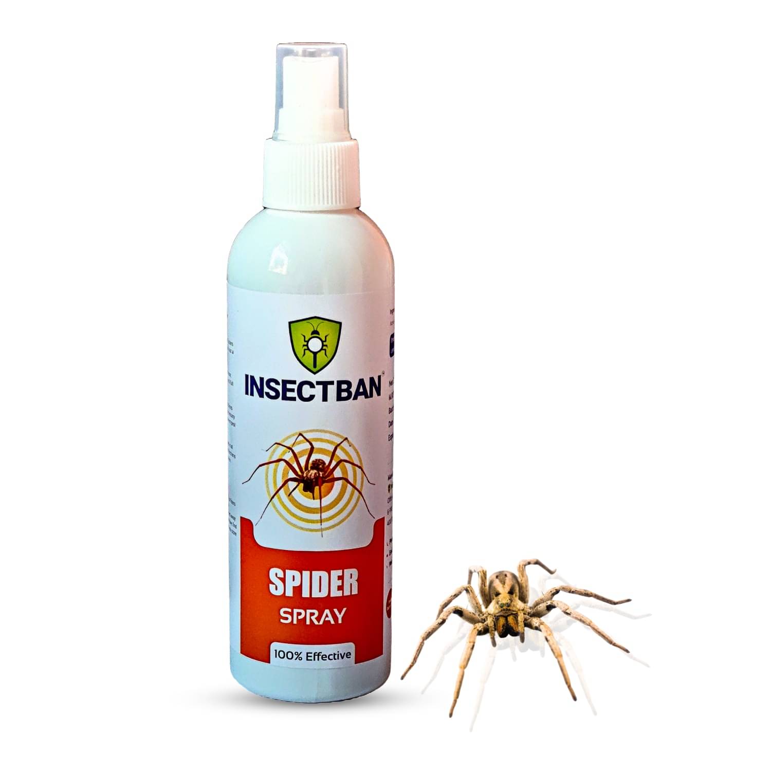    			INSECTBAN Spider Repellent Spray | Instant Spider Repel | Long-Lasting Effect | Safe for Home & Outdoor Use | Pack of 1-(200 ml)