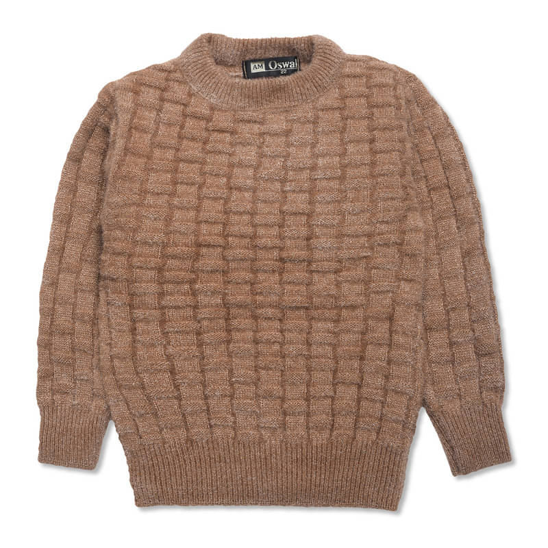Megha Shristy Enterprises Pack of 1 Boys Woollen Blend Sweater ( Brown ) Megha Shristy Enterprises Pack of 1 Boys Woollen Blend Sweater ( Brown )