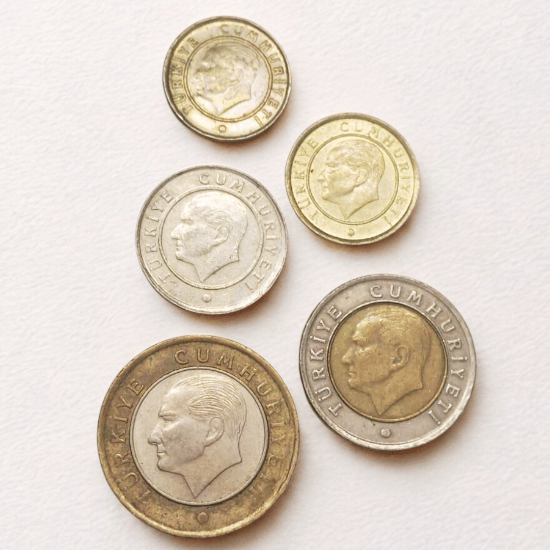 SHUBHCOINS 5 Different Coins of Turkey in World Series Education Set, Very Fine Condition, Best for School Projects SHUBHCOINS 5 Different Coins of Turkey in World Series Education Set, Very Fine Condition, Best for School Projects