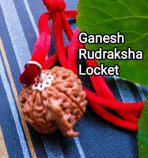 VIDHAN ART Rudraksha Pendant ( Pack of 1 ) VIDHAN ART Rudraksha Pendant ( Pack of 1 )