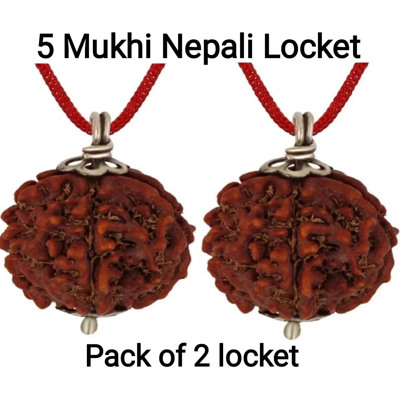     			VIDHAN ART Rudraksha Pendant ( Pack of 2 )
