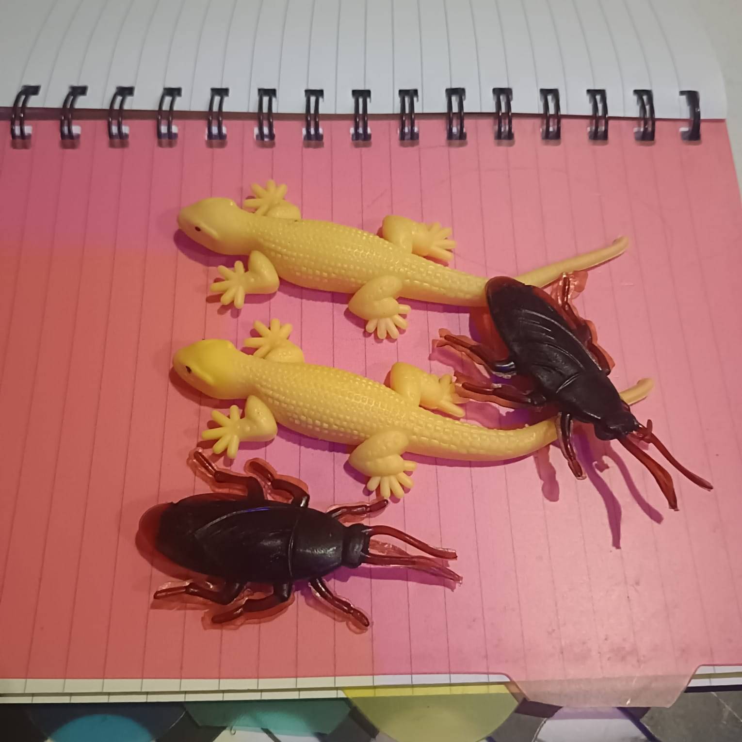BBS DEAL lizard_1 Pack of 2/2 pcs cocroch/lizard dark color Gag Toy BBS DEAL lizard_1 Pack of 2/2 pcs cocroch/lizard dark color Gag Toy