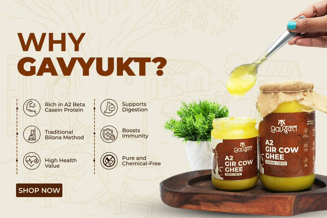     			Gavyukt GAVYUKT A2 GIR DESI -100% NATURAL BILONA CULTURED METHOD Ghee 1 kg) Ghee 1000 kg