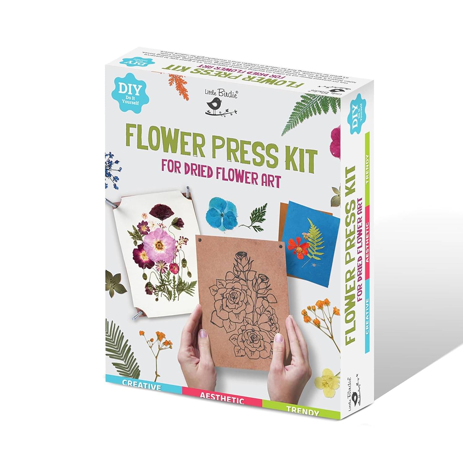     			Little Birdie DIY Pressed Flower Art Kit 1 Box| Art & Craft, Creative, Fun & Activity DIY Learning Kit | Gift for Kids, Girls and Boys