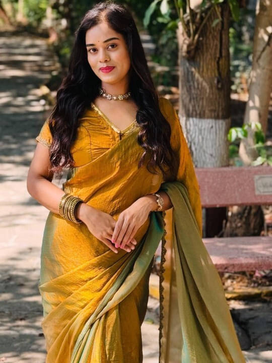     			VRAGI Chiffon Embroidered Regular Saree With Unstitched Blouse Piece ( Gold )