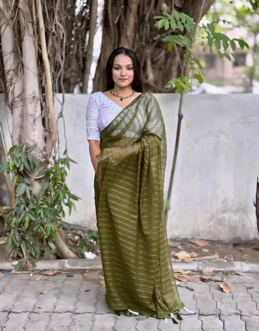 VRAGI Georgette Embellished Regular Saree With Unstitched Blouse Piece ( Light Green ) VRAGI Georgette Embellished Regular Saree With Unstitched Blouse Piece ( Light Green )