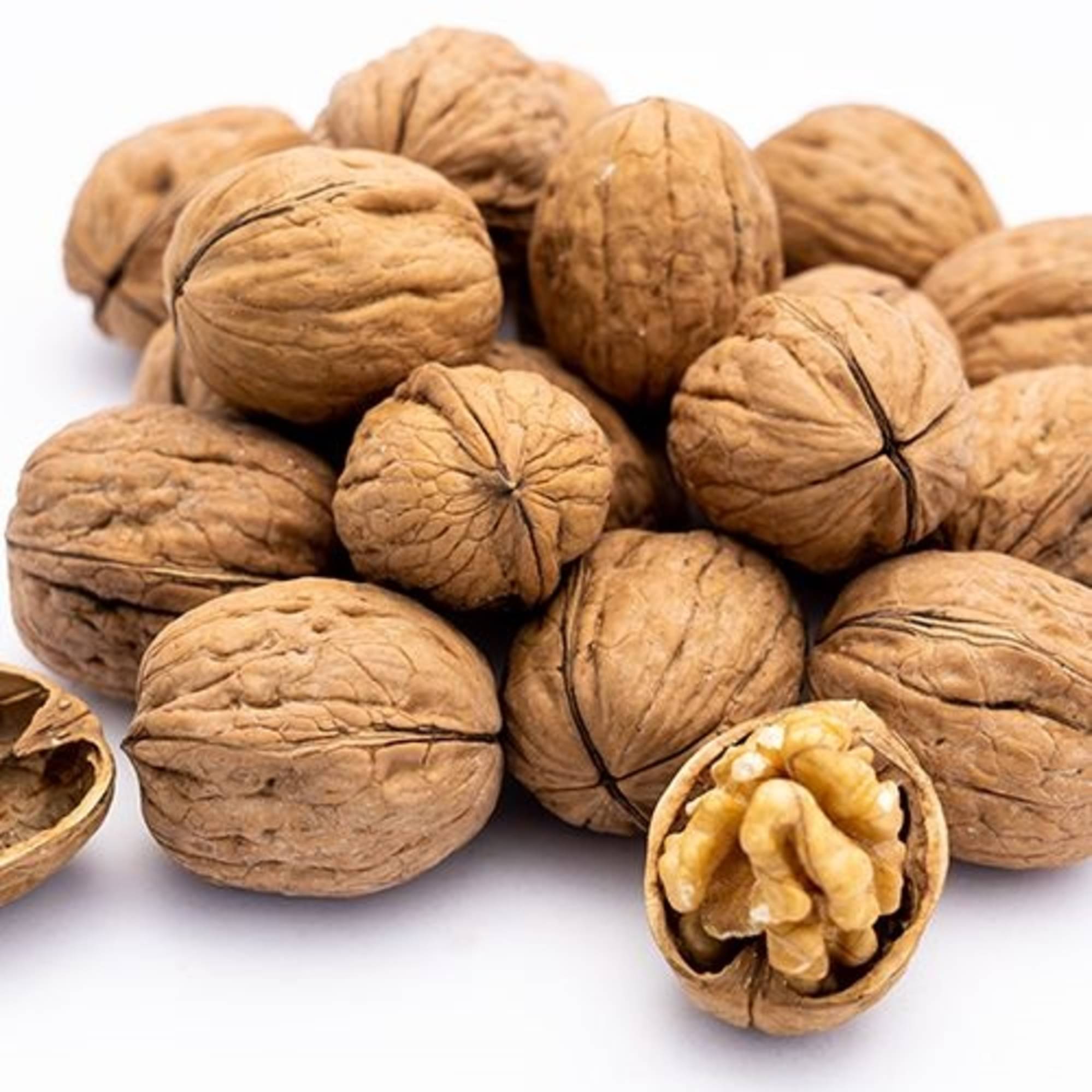     			ENRICH NUTS Inshell Walnuts(Saboot Akhrot) 250 g