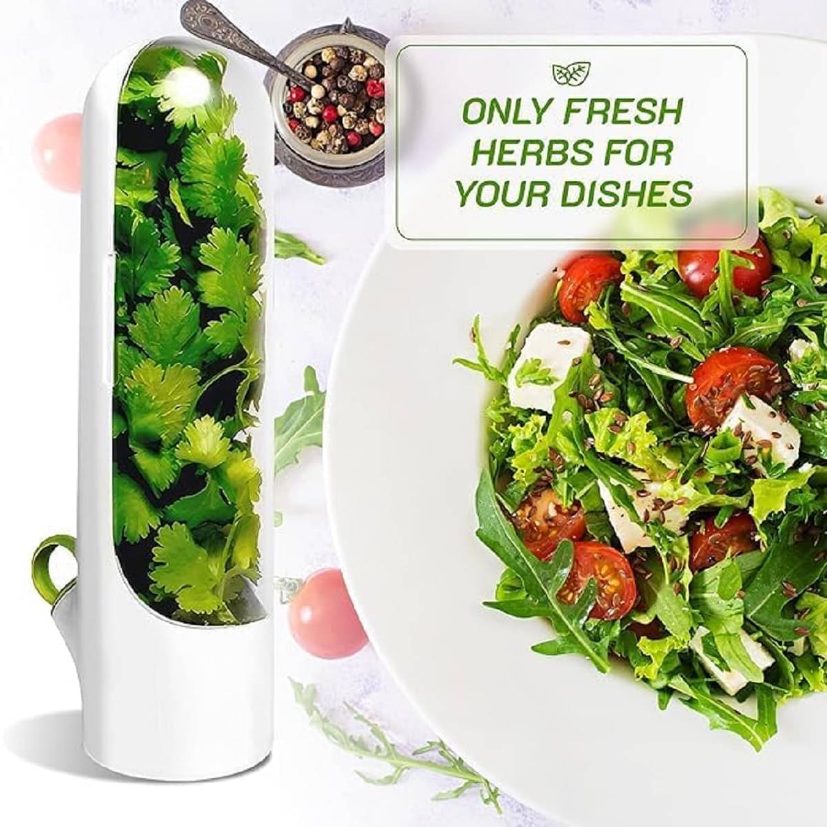     			RAMDEV ENTERPRISE HERB SAVER WHITE Plastic White Food Container ( Set of 1 )