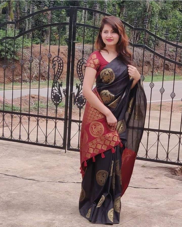 Prijari Art Silk Woven Kanjeevaram Sarees With Unstitched Blouse Piece ( Black ) Prijari Art Silk Woven Kanjeevaram Sarees With Unstitched Blouse Piece ( Black )