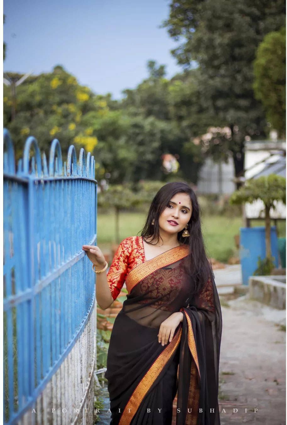     			ANAND SAREES Chiffon Printed Regular Saree With Unstitched Blouse Piece ( Black )
