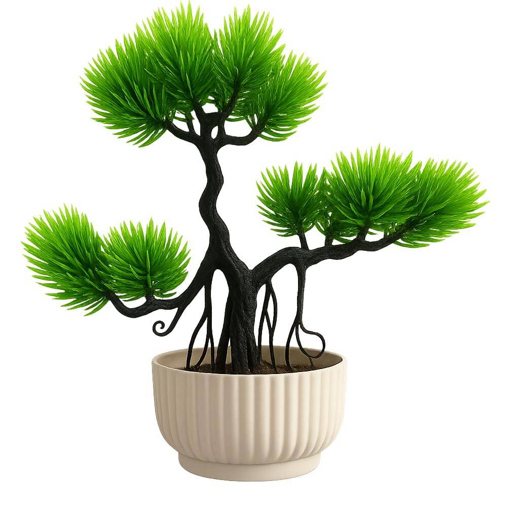     			green bansoi tree
