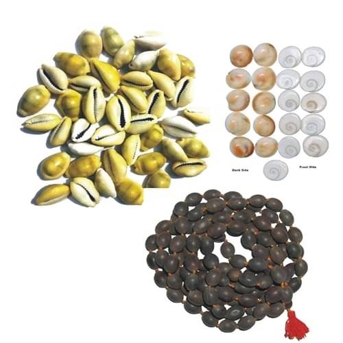     			Divyanshi Enterprises Pooja Kit 1 ( Pack of 1 )