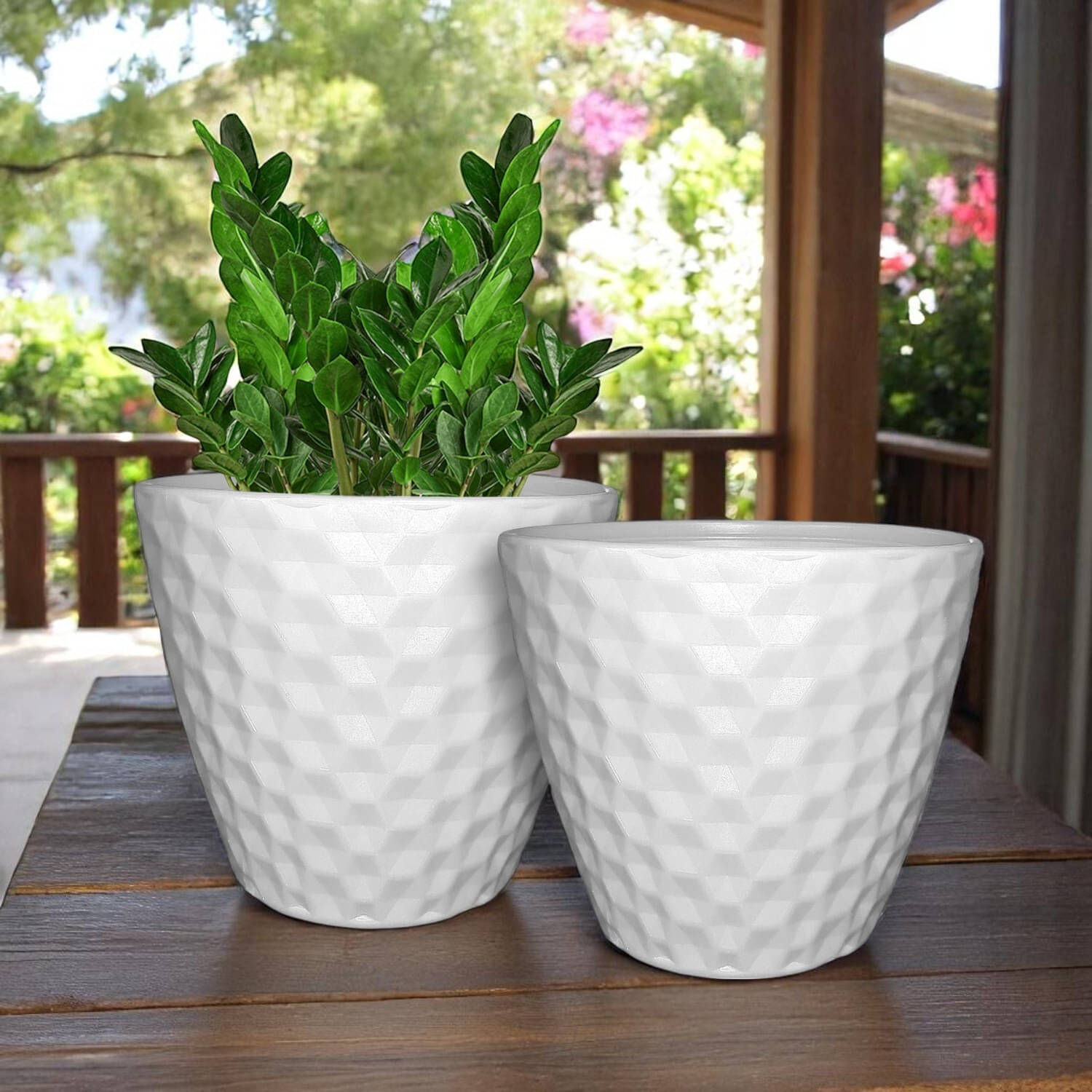     			Garden's Need 10.5-Inch (26.67 cm) Spider Flower Pot | Round Shape, Set of 2, White Planter for Indoor & Outdoor | UV-Resistant, Lightweight Plastic Pots| Ideal for Flowers, Herbs, and Small Plants