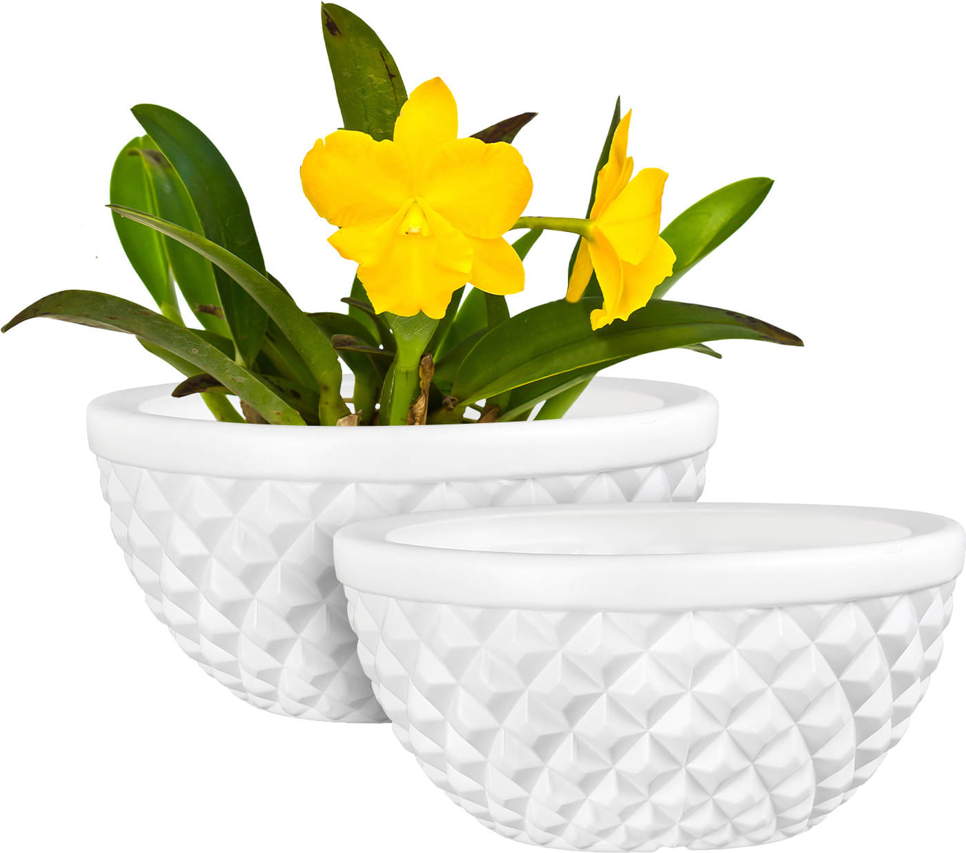     			Garden's Need 12-Inch (30.48 cm) Holden Flower Pot | Round Shape, Set of 2, White Planter for Indoor & Outdoor | UV-Resistant, Lightweight Plastic Pots| Ideal for Flowers, Herbs, and Small Plants