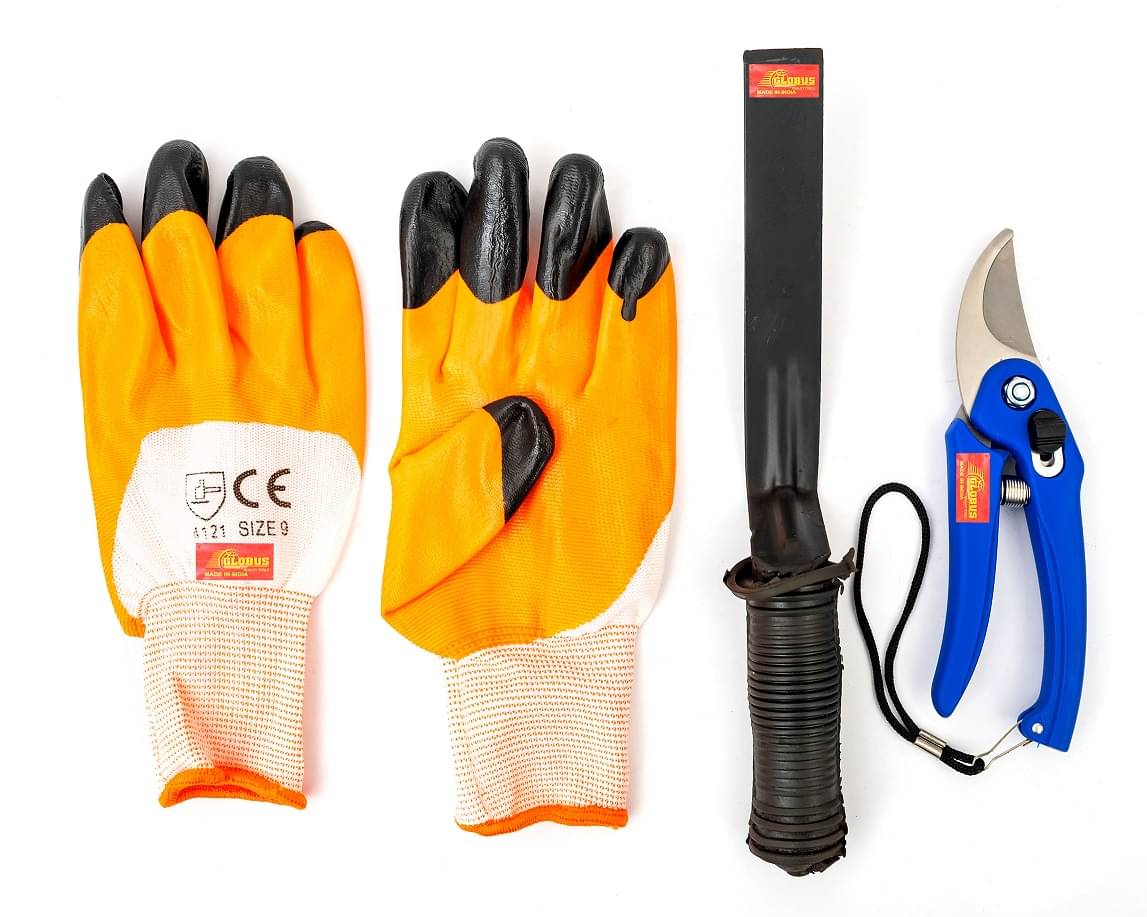     			Globus 527-GARDEN TOOL SET/3-GARDEN CUTTER/PRUNER/SECATEUR( STAINLESS 7 INCH/18 CM) & ( GARDEN KHURPA/TROWEL  1 INCH/25MM ) AND ( GARDEN GLOVES RUBBER COATED) Garden Tool Kit
