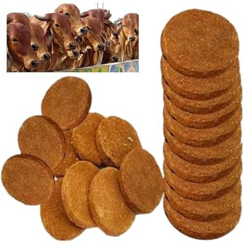     			Divyanshi Enterprises Cow Dung Cake 1 ( Pack of 10 )