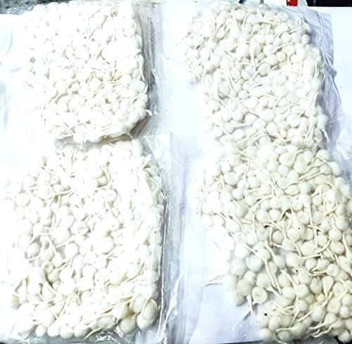    			Divyanshi Enterprises Jyot 1 ( Pack of 4 )