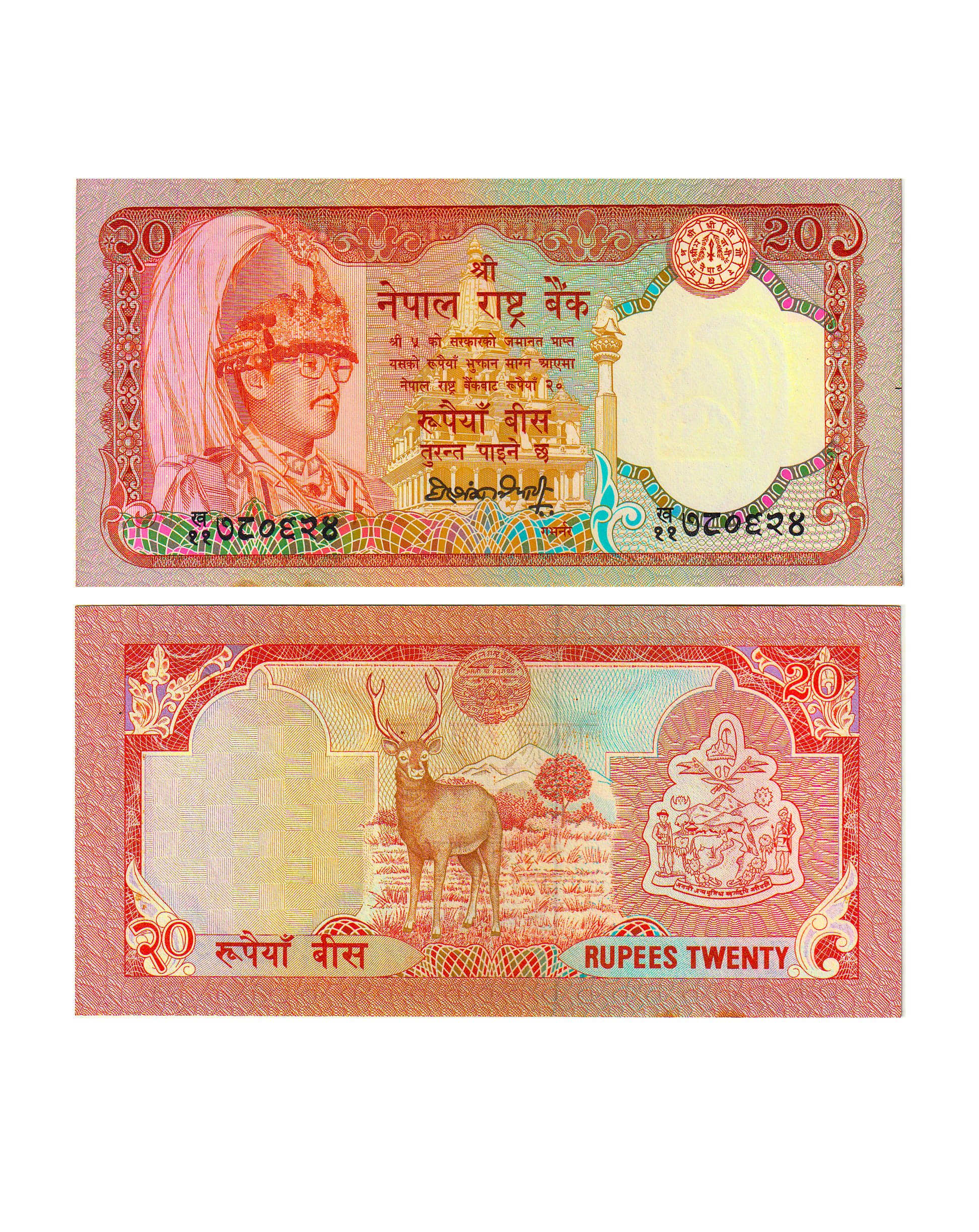     			Nepal 20 Rupees Top Grade Gem UNC Note for Collection