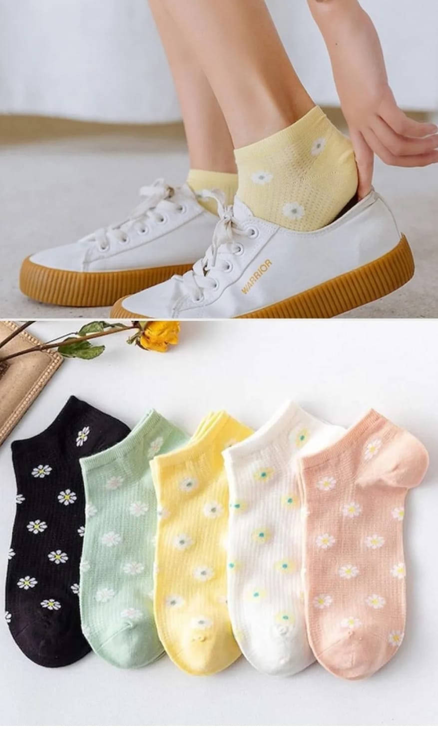     			finzer Pack of 5 Women's Cotton Ankle Length Socks ( Multicolor )
