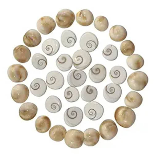     			Divyanshi Enterprises Kowdi 1 ( Pack of 1 )