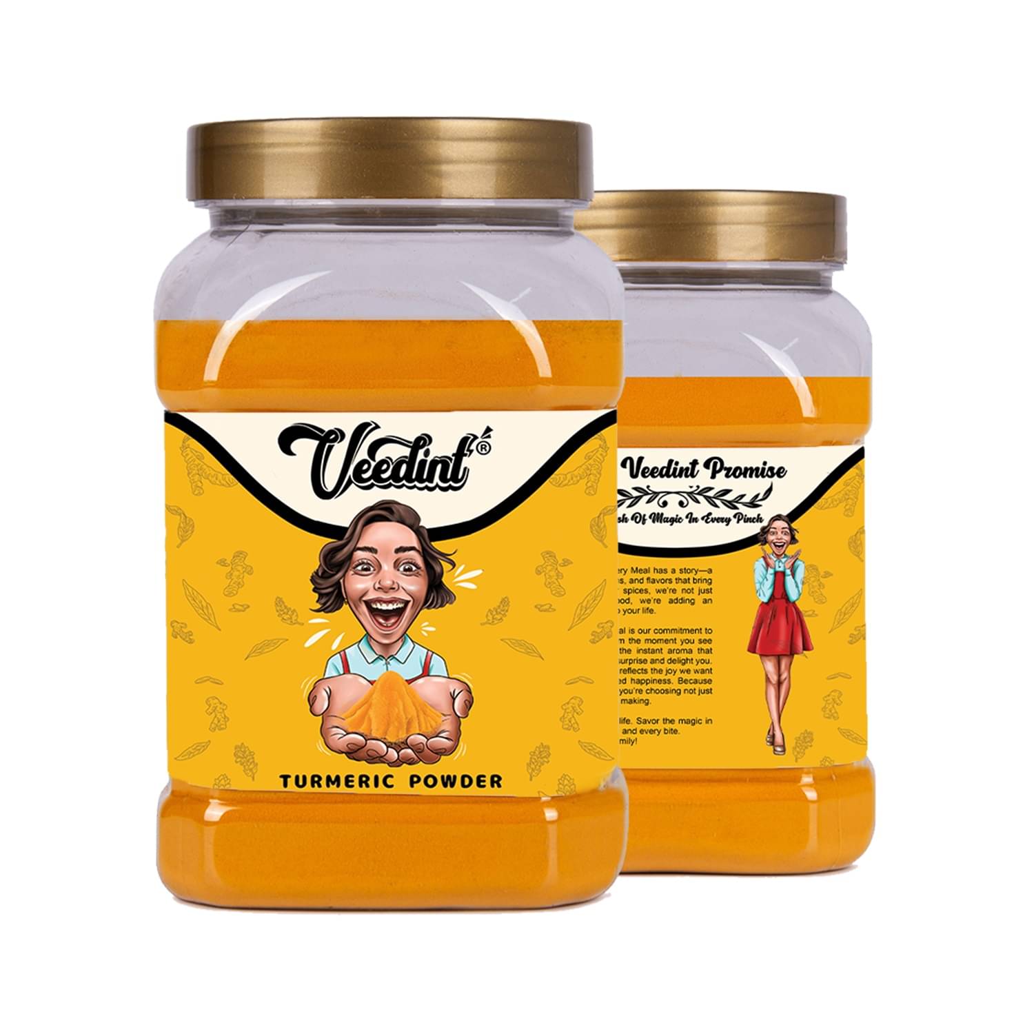     			VeeDInt 200 gm Haldi (Turmeric) ( Pack of 1 )