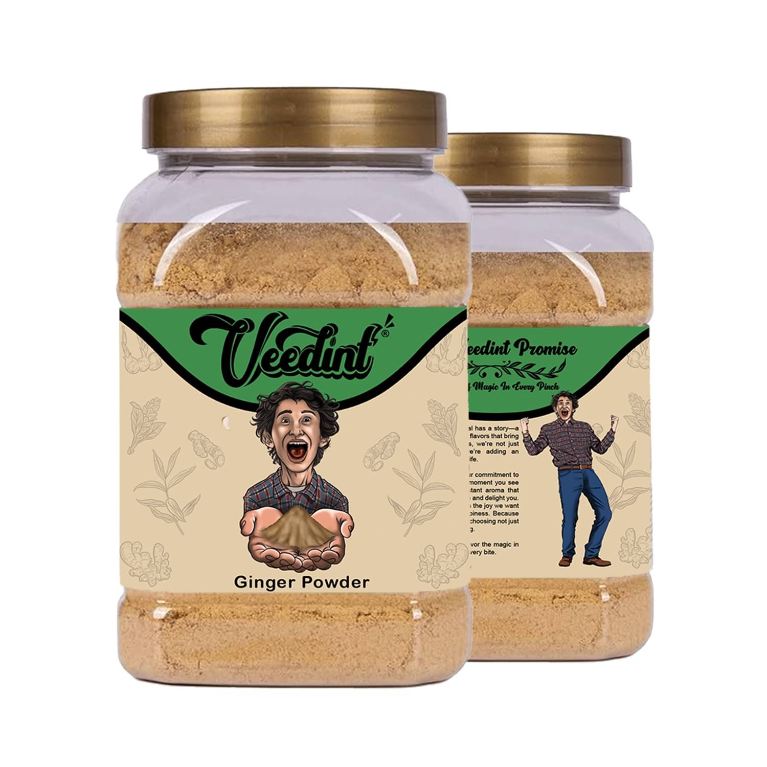 VeeDInt 300 gm Dry Ginger ( Pack of 1 )     			VeeDInt 300 gm Dry Ginger ( Pack of 1 )