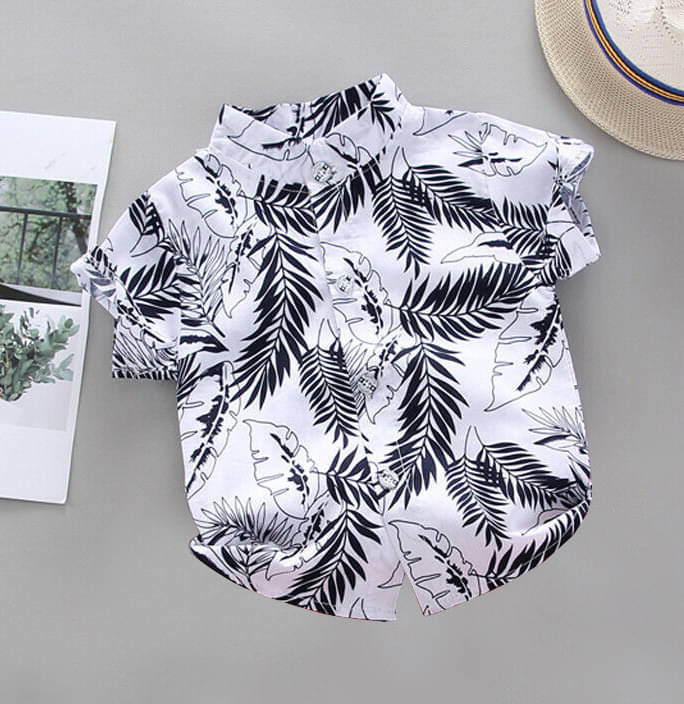 DANGAR Pack of 1 Boys Polyester Half Sleeves Shirt ( White ) DANGAR Pack of 1 Boys Polyester Half Sleeves Shirt ( White )