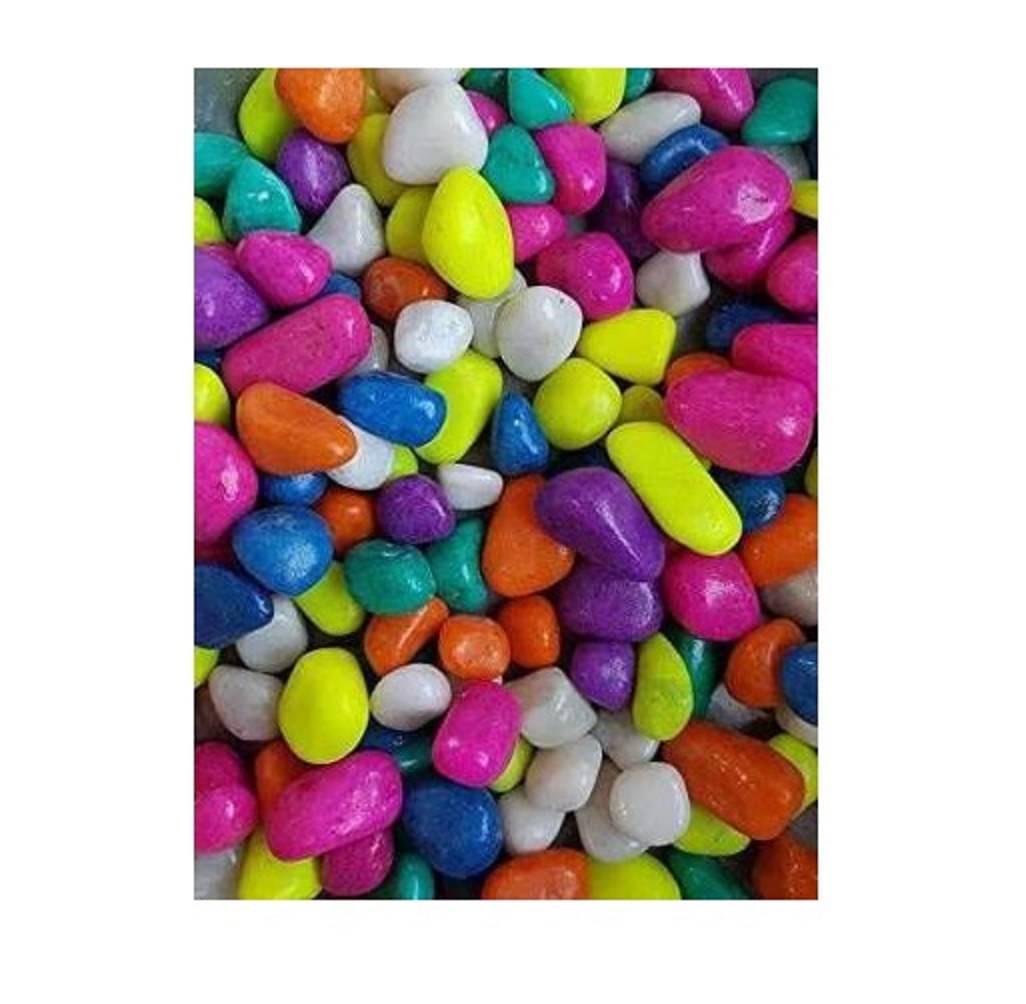     			Multi Color Stone 1 KG