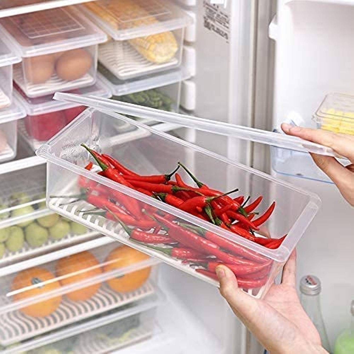     			SWASTICK FISH CONTAINERS Plastic Transparent Multi-Purpose Container ( Set of 6 )