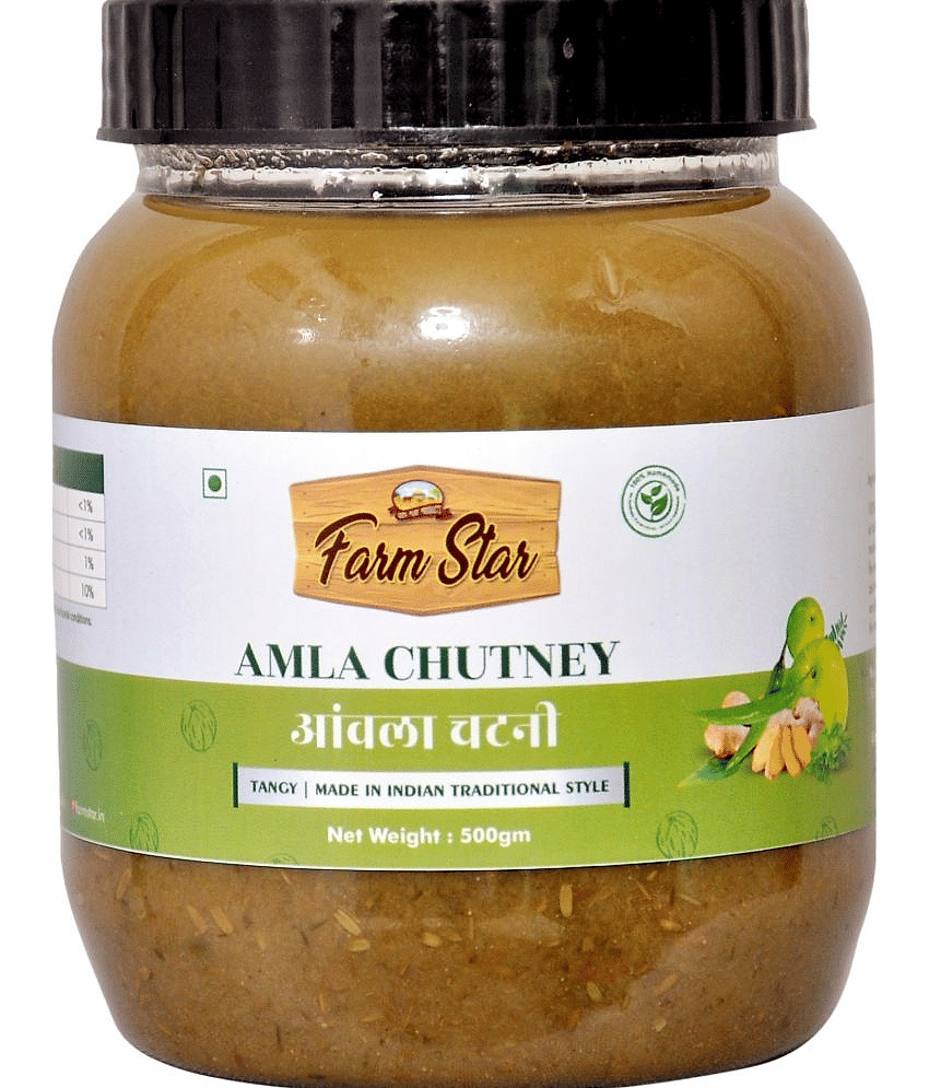 Farm Star Amla Chutney - Homemade Chutney 500 g