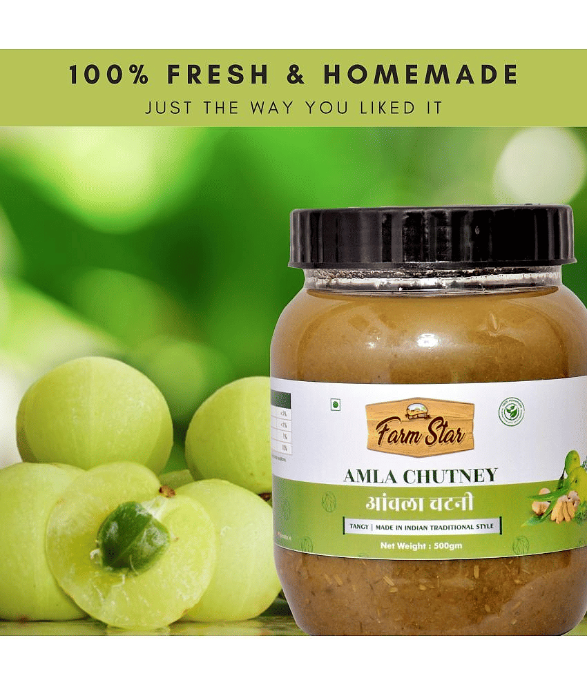 Farm Star Amla Chutney - Homemade Chutney 500 g