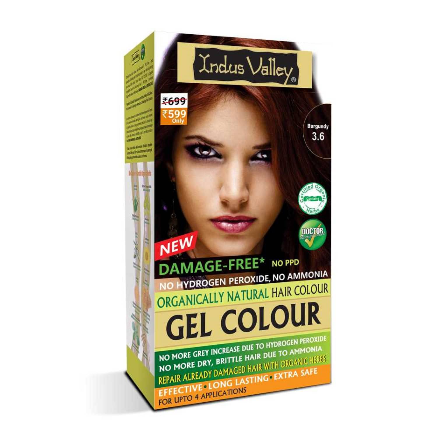     			Indus Valley Damage Free Gel Hair Colour Regular Pack Burgundy 220 ML Pack of 1