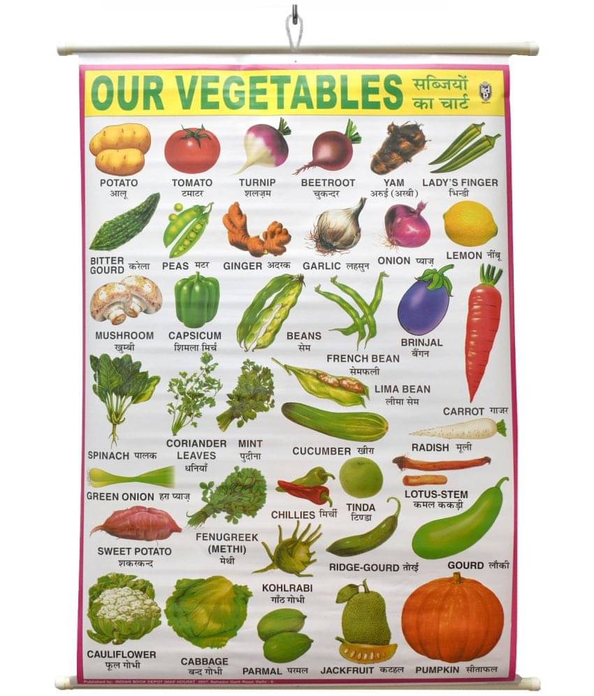     			Our Vegetables Chart Laminated Wall Chart (Size 100X75 CM) Perfect for Homeschooling, Kindergarten and Nursery Students