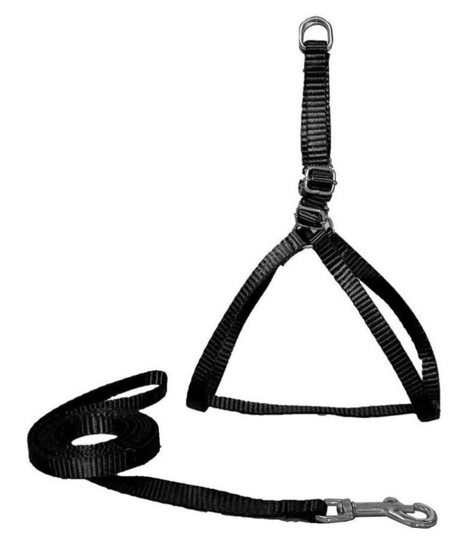     			Petshop7 Adjustable Harness Without Padding For Dogs- Min & Max (17-22) Inch |Connecting Belt 5.5 Inch | Width Of Harness : 0.5