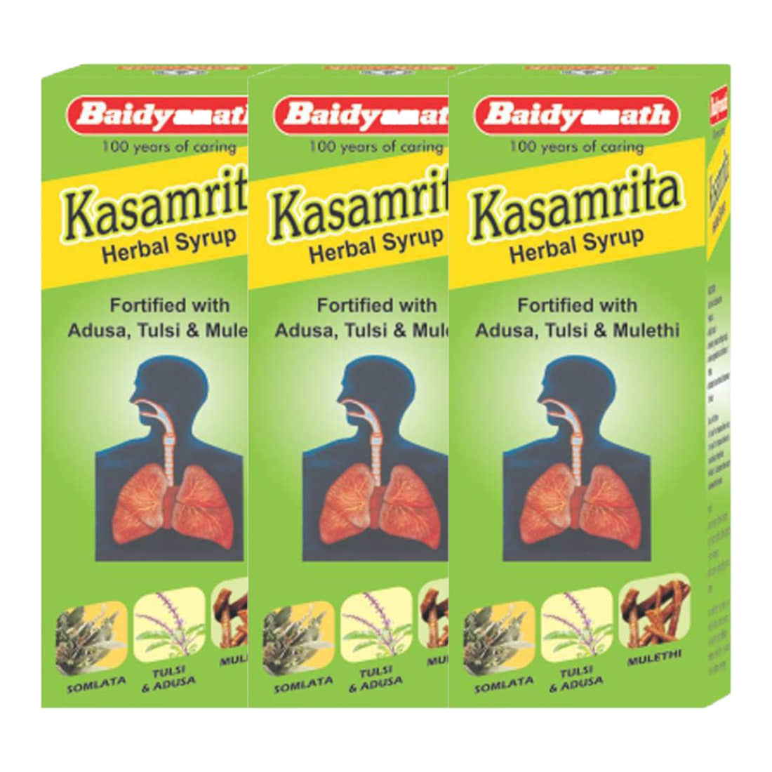 Baidyanath Kasamrit Herbal Cough Syrup 100Ml (Pack of 3)