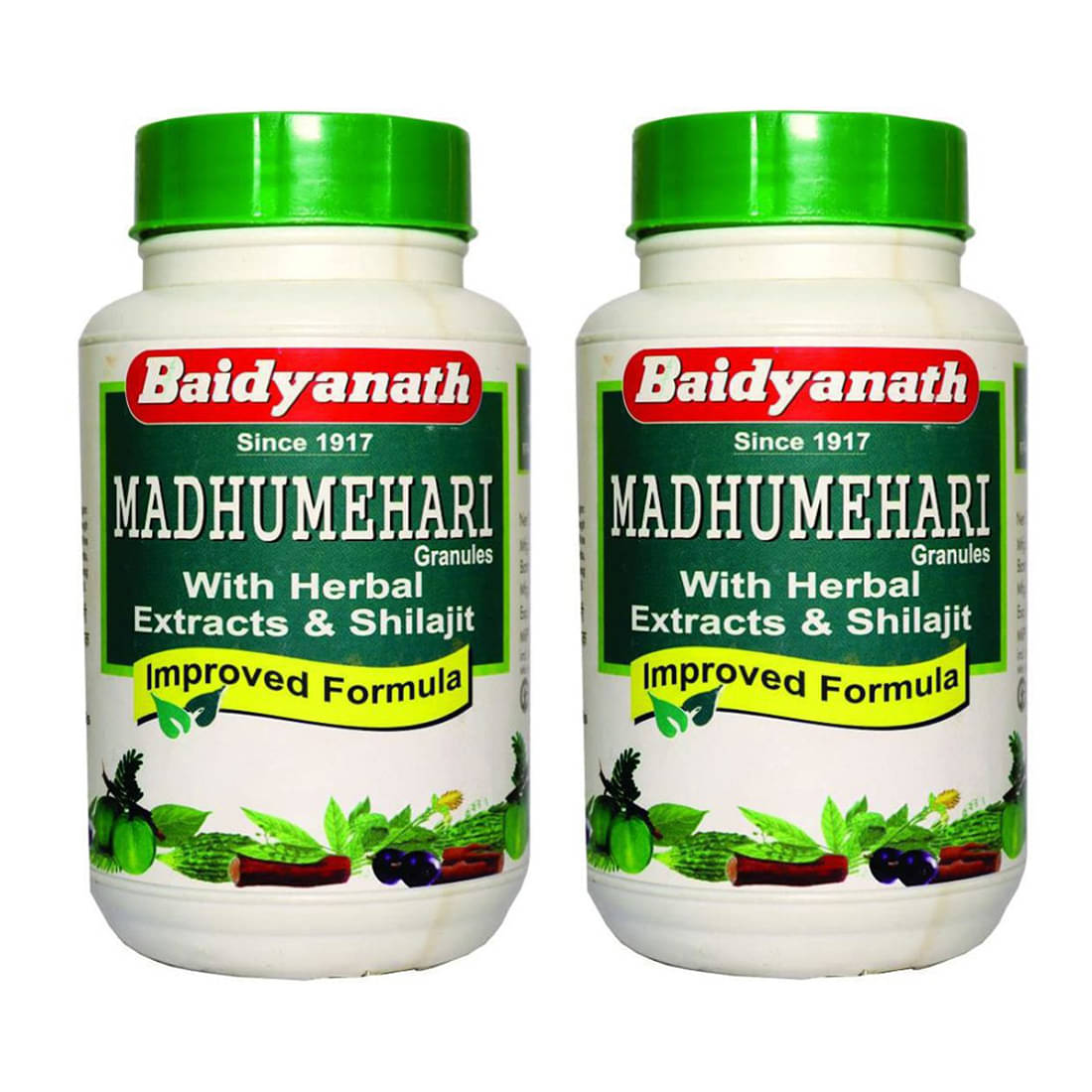 Baidyanath Madhumehari Granules Paste 200 Gm Pack of 2 Baidyanath Madhumehari Granules Paste 200 Gm Pack of 2