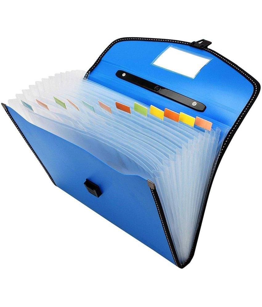 Villy File Folder, Accordion Document/Letter A4 Size File Organizer with Handle and 13 Pockets - Assorted Colour Villy File Folder, Accordion Document/Letter A4 Size File Organizer with Handle and 13 Pockets - Assorted Colour
