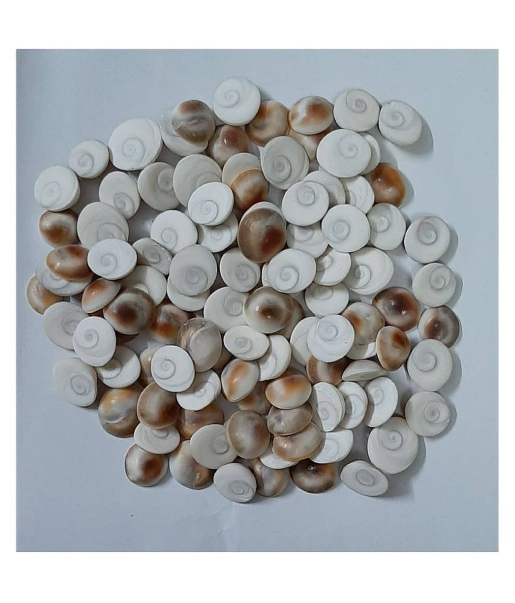     			Amriteous - Stone Gomti Chakra (Pack of 1)