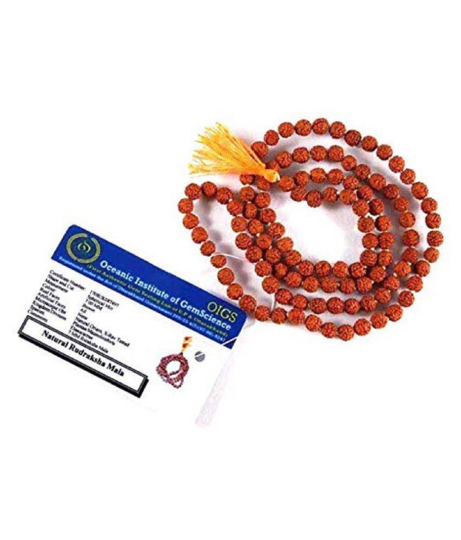     			Rudraksha Mala With Certificate | Original Lab Certified Rudraksh Mala with the Certificate of Authenticity | High Quality rudraksha Mala for wearing and japa | Rudraksha Mala In 108+1 Beads (6 mm) For Men/Women / Boys/Girls | Rudra Divine