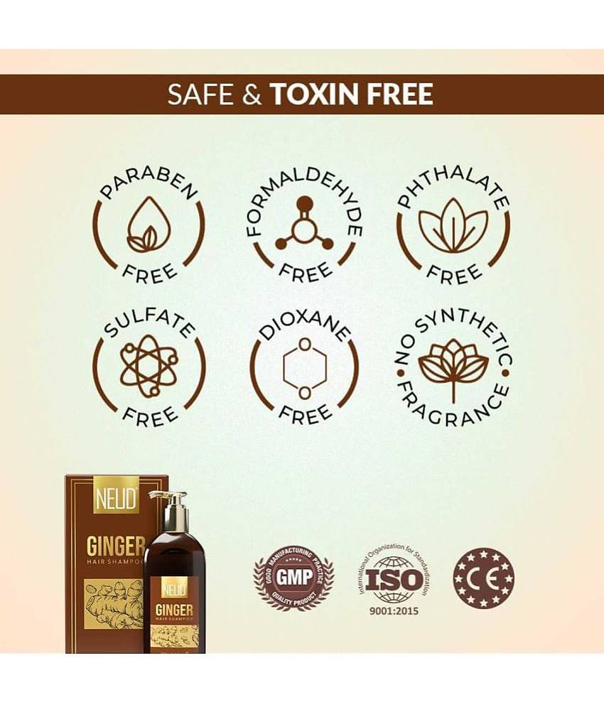 NEUD Premium Ginger Hair Shampoo for Men & Women - 1 Pack (300ml)