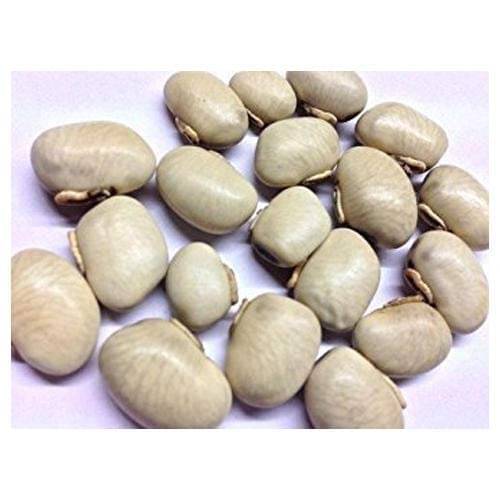 Nutrixia Food Kauch Beej/कौच बीज/Konch/Mucuna pruriens/Kaunch Seeds 480 gm Nutrixia Food Kauch Beej/कौच बीज/Konch/Mucuna pruriens/Kaunch Seeds 480 gm