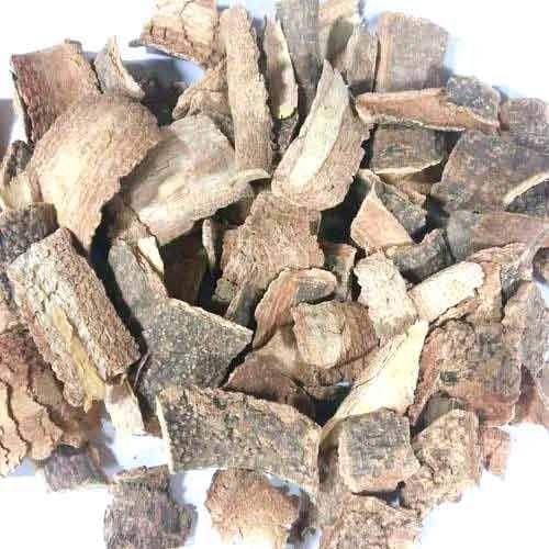     			Nutrixia Food Kuda Chhal - Kutaj Chaal Chal - कुटज छाल - Holarrhena Antidysenterica 980 gm